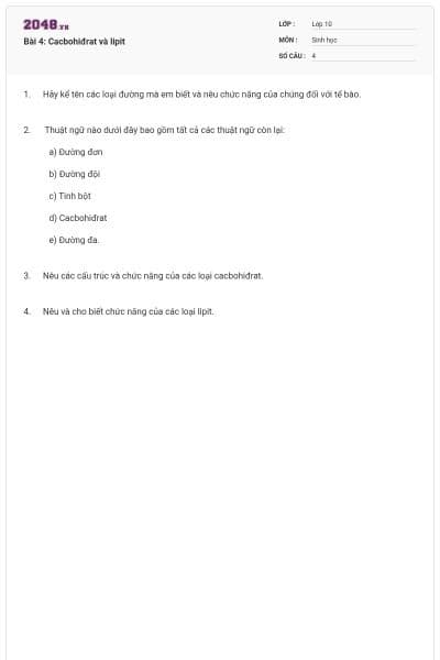 Bài 4: Cacbohiđrat và lipit