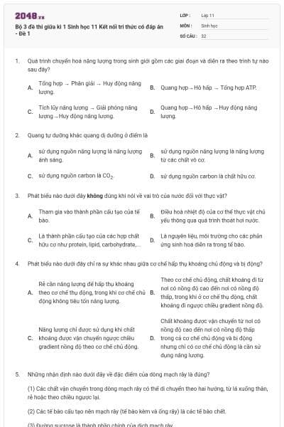 Bộ 3 đề thi giữa kì 1 Sinh học 11 Kết nối tri thức có đáp án - Đề 1