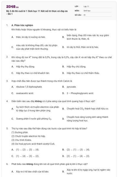 Bộ 3 đề thi cuối kì 1 Sinh học 11 Kết nối tri thức có đáp án - Đề 1