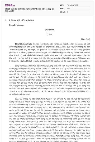(2025 mới) Đề ôn thi tốt nghiệp THPT môn Văn có đáp án (Đề số 45)