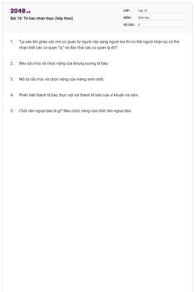 Bài 10: Tế bào nhân thực (tiếp theo)