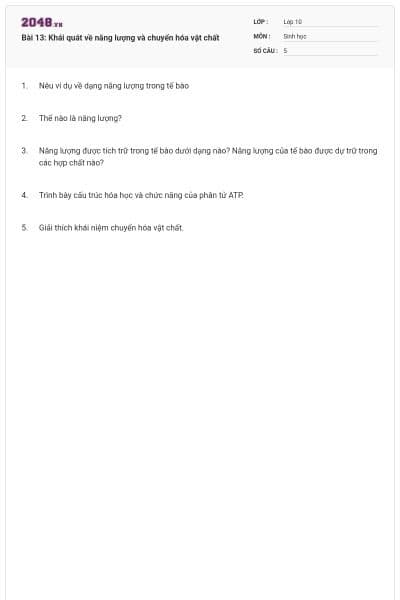 Bài 13: Khái quát về năng lượng và chuyển hóa vật chất