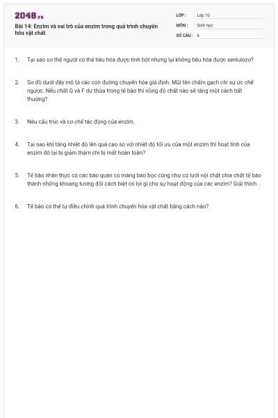 Bài 14: Enzim và vai trò của enzim trong quá trình chuyển hóa vật chất