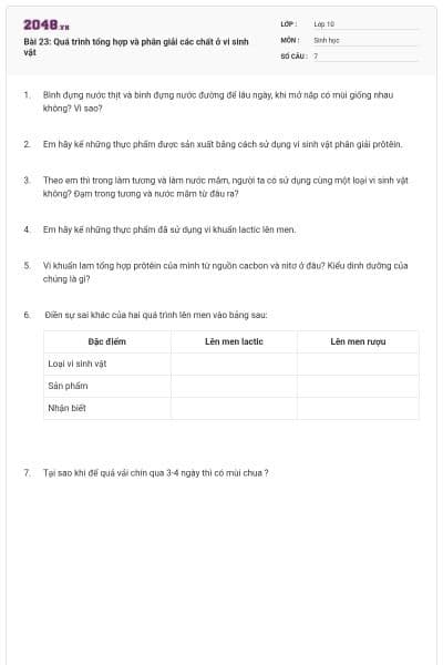 Bài 23: Quá trình tổng hợp và phân giải các chất ở vi sinh vật