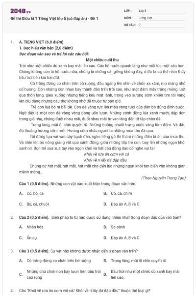 Đề thi Giữa kì 1 Tiếng Việt lớp 5 (có đáp án) - Đề 1