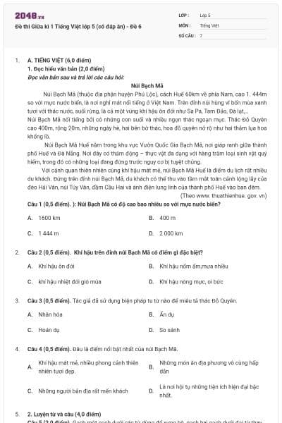 Đề thi Giữa kì 1 Tiếng Việt lớp 5 (có đáp án) - Đề 6