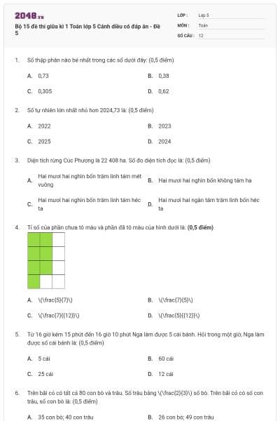 Bộ 15 đề thi giữa kì 1 Toán lớp 5 Cánh diều có đáp án - Đề 5