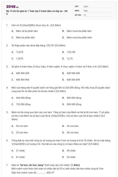 Bộ 15 đề thi giữa kì 1 Toán lớp 5 Cánh diều có đáp án - Đề 6