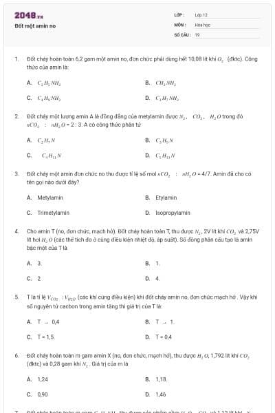 Đốt một amin no