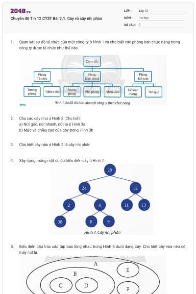 Chuyên đề Tin 12 CTST Bài 2.1. Cây và cây nhị phân