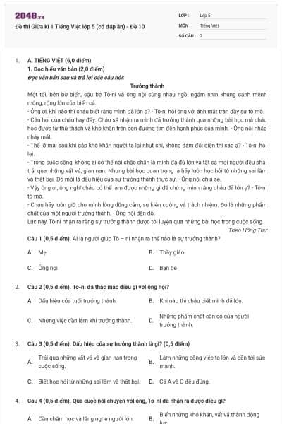 Đề thi Giữa kì 1 Tiếng Việt lớp 5 (có đáp án) - Đề 10