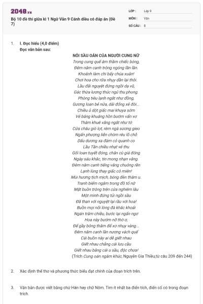 Bộ 10 đề thi giữa kì 1 Ngữ Văn 9 Cánh diều có đáp án (Đề 7)