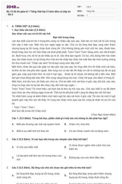 Bộ 10 đề thi giữa kì 1 Tiếng Việt lớp 5 Cánh diều có đáp án - Đề 6