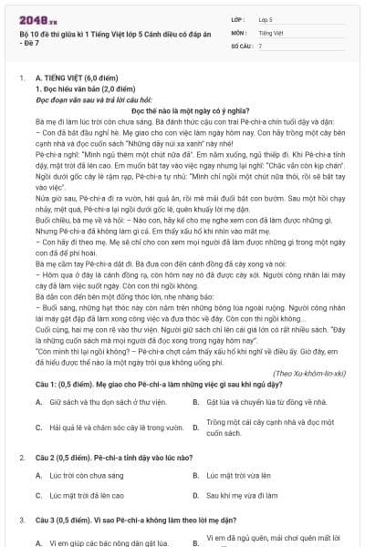 Bộ 10 đề thi giữa kì 1 Tiếng Việt lớp 5 Cánh diều có đáp án - Đề 7