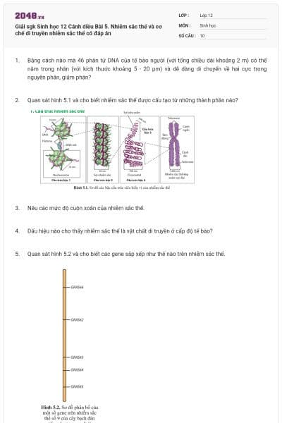 Giải sgk Sinh học 12 Cánh diều Bài 5. Nhiễm sắc thể và cơ chế di truyền nhiễm sắc thể có đáp án