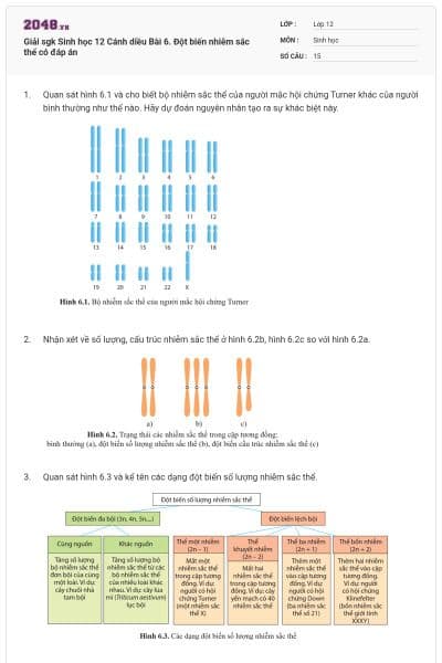 Giải sgk Sinh học 12 Cánh diều Bài 6. Đột biến nhiễm sắc thể có đáp án