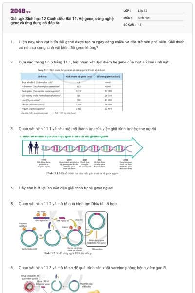 Giải sgk Sinh học 12 Cánh diều Bài 11. Hệ gene, công nghệ gene và ứng dụng có đáp án