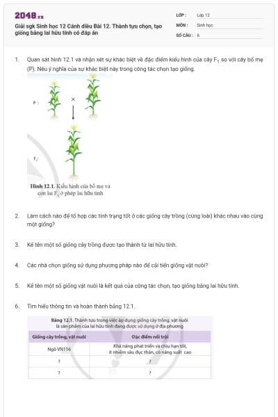 Giải sgk Sinh học 12 Cánh diều Bài 12. Thành tựu chọn, tạo giống bằng lai hữu tính có đáp án