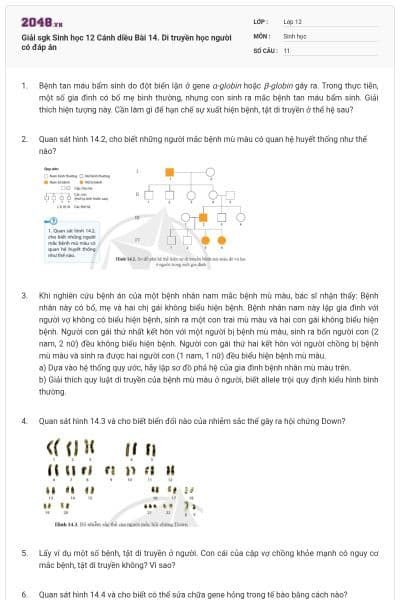 Giải sgk Sinh học 12 Cánh diều Bài 14. Di truyền học người có đáp án