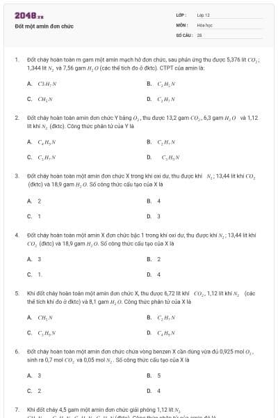 Đốt một amin đơn chức