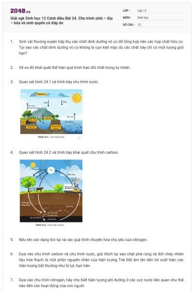 Giải sgk Sinh học 12 Cánh diều Bài 24. Chu trình sinh – địa – hóa và sinh quyển có đáp án