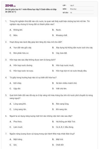 Đề thi giữa học kì 1 môn Khoa học lớp 5 Cánh diều có đáp án (Đề số 1)