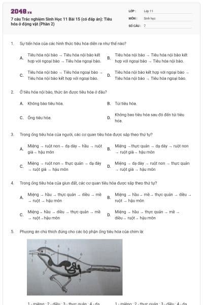 7 câu  Trắc nghiệm Sinh Học 11 Bài 15 (có đáp án): Tiêu hóa ở động vật (Phần 2)