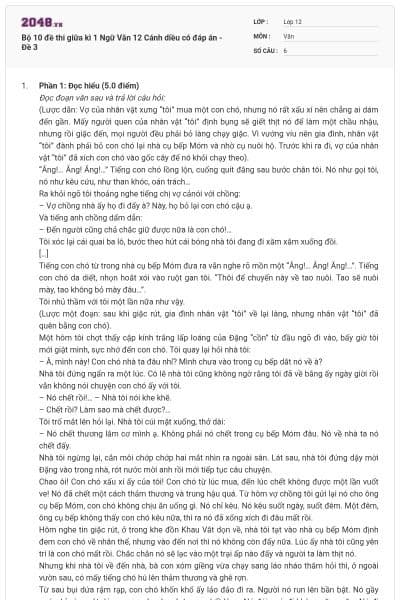 Bộ 10 đề thi giữa kì 1 Ngữ Văn 12 Cánh diều có đáp án - Đề 3