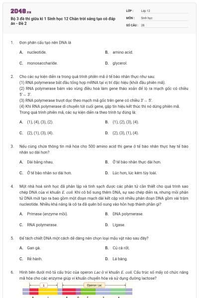 Bộ 3 đề thi giữa kì 1 Sinh học 12 Chân trời sáng tạo có đáp án - Đề 2