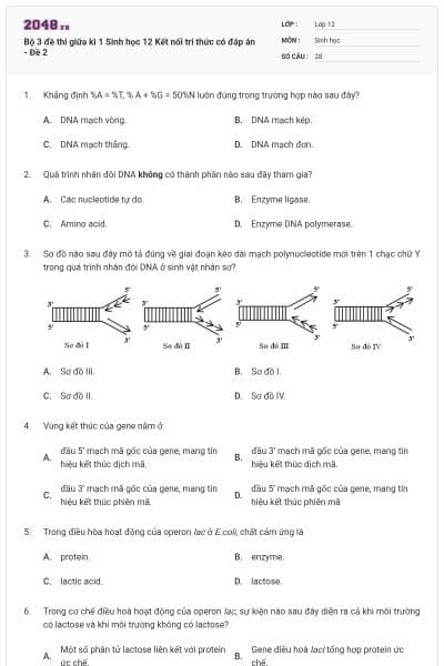 Bộ 3 đề thi giữa kì 1 Sinh học 12 Kết nối tri thức có đáp án - Đề 2