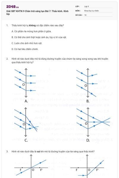 Giải SBT KHTN 9 Chân trời sáng tạo Bài 7: Thấu kính. Kính lúp