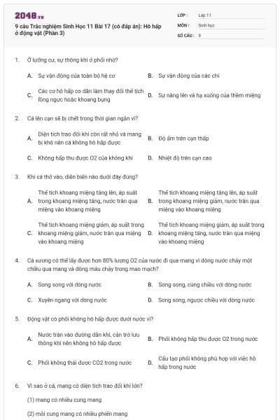 9 câu  Trắc nghiệm Sinh Học 11 Bài 17 (có đáp án): Hô hấp ở động vật (Phần 3)