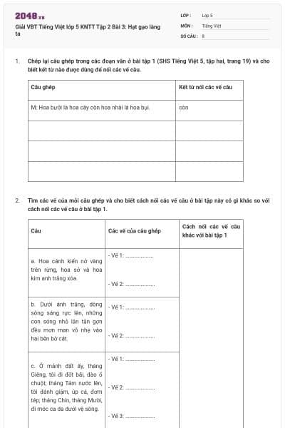 Giải VBT Tiếng Việt lớp 5 KNTT Tập 2 Bài 3: Hạt gạo làng ta