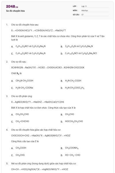 Sơ đồ chuyển hóa