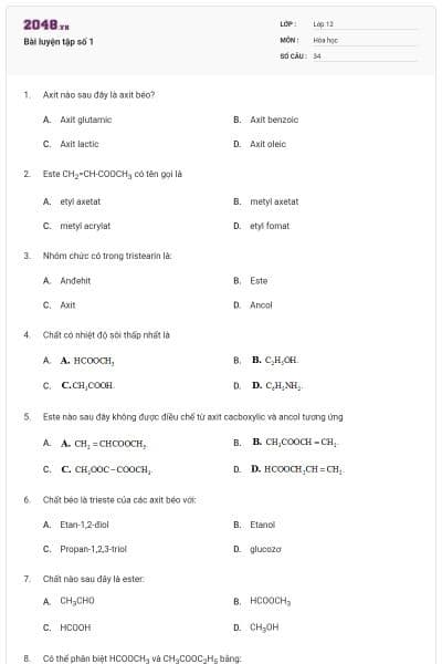 Bài luyện tập số 1