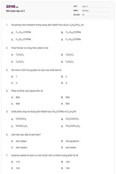 Bài luyện tập số 2