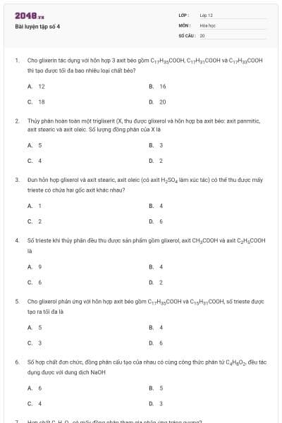 Bài luyện tập số 4