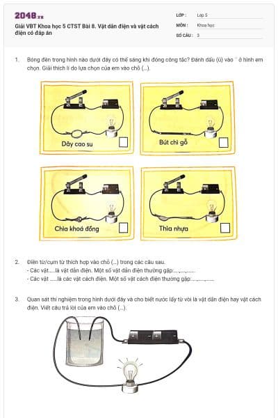 Giải VBT Khoa học 5 CTST Bài 8. Vật dẫn điện và vật cách điện có đáp án