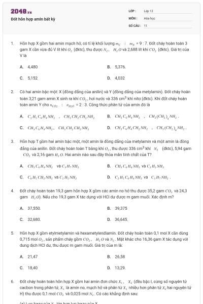Đốt hỗn hợp amin bất kỳ