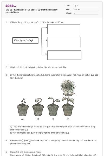 Giải VBT Khoa học 5 CTST Bài 14. Sự phát triển của cây con có đáp án