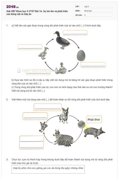 Giải VBT Khoa học 5 CTST Bài 16. Sự lớn lên và phát triển của động vật có đáp án