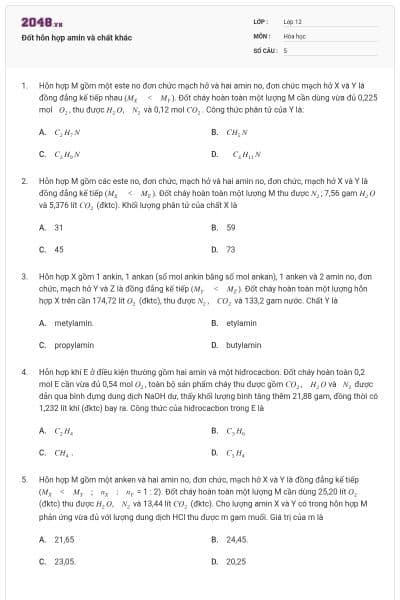 Đốt hỗn hợp amin và chất khác