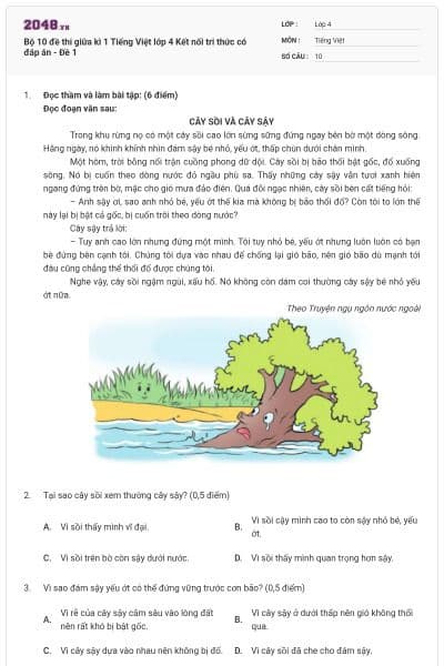 Bộ 10 đề thi giữa kì 1 Tiếng Việt lớp 4 Kết nối tri thức có đáp án - Đề 1
