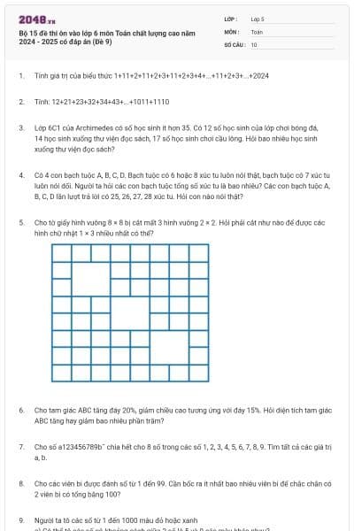 Bộ 15 đề thi ôn vào lớp 6 môn Toán chất lượng cao năm 2024 - 2025 có đáp án (Đề 9)