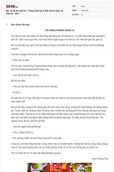 Bộ 10 đề thi cuối kì 1 Tiếng Việt lớp 4 Kết nối tri thức có đáp án - Đề 1