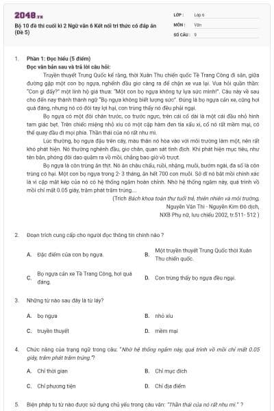 Bộ 10 đề thi cuối kì 2 Ngữ văn 6 Kết nối tri thức có đáp án (Đề 5)
