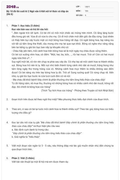 Bộ 10 đề thi cuối kì 2 Ngữ văn 6 Kết nối tri thức có đáp án (Đề 6)