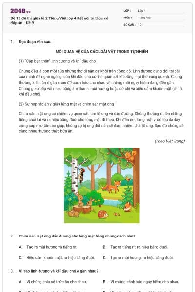 Bộ 10 đề thi giữa kì 2 Tiếng Việt lớp 4 Kết nối tri thức có đáp án - Đề 9