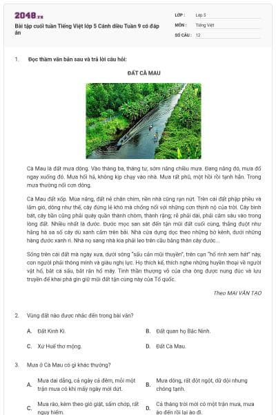 Bài tập cuối tuần Tiếng Việt lớp 5 Cánh diều Tuần 9 có đáp án