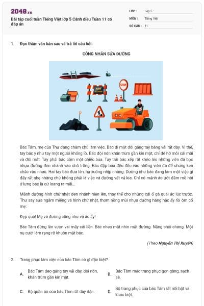 Bài tập cuối tuần Tiếng Việt lớp 5 Cánh diều Tuần 11 có đáp án